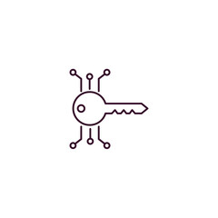 digital key  outline icon. Linear vector from cryptocurrency concept. Thin line digital key  icon isolated on white background