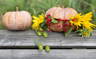 Close-up of two pumpkins in autumn. Sunflowers and wild berries next to them. The fruits are standing on old wood in front of a green background outdoors. There is space for text.