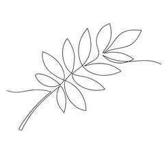 rowan leaf is drawn in single line on white background. floral motif in the minimalist style. stock vector illustration. EPS 10.