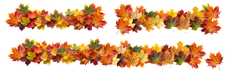 Autumn leaves border garlands set, isolated on transparent background, png elements collection. Colorful orange and yellow fall leaves