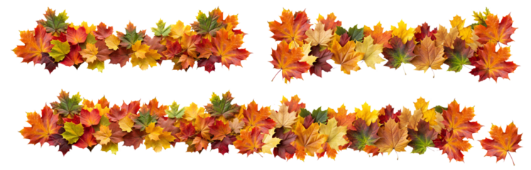 Autumn leaves border garlands set, isolated on transparent background, png elements collection. Colorful orange and yellow fall leaves