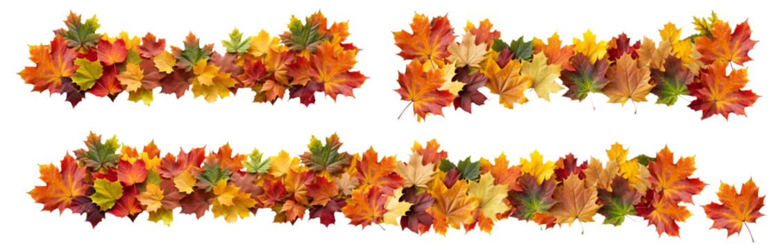 Autumn leaves border garlands set, isolated on transparent background, png elements collection. Colorful orange and yellow fall leaves
