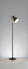 Side view of floor lamp, isolated