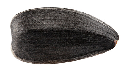Sunflower Seed, isolated on white background, full depth of field