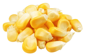 Corn Seed isolated on white background, full depth of field