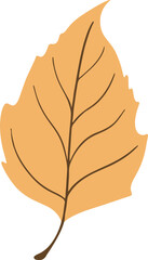 Halloween and Autumn's Pumpkin