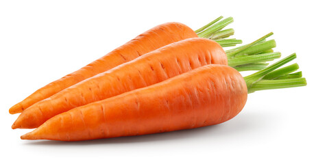 Carrots isolated. Carrot on white background. Three carrots with green leaves. With clipping path....