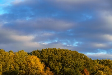 Fototapeta premium beautiful autumn landscape with river and forest, cloudy sky