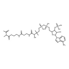 3-keto-2-methyl-butanethioic acid S-[2-[3-[[4-[[(5-adenin-9-yl-4-hydroxy-3-phosphonooxy-tetrahydrofuran-2-yl)methoxy-hydroxy-phosphoryl]oxy-hydroxy-phosphoryl]oxy-2-hydroxy-3,3-dimethyl-butanoyl]amino