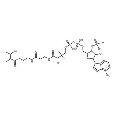 3-hydroxy-2-methyl-butanethioic acid S-[2-[3-[[4-[[(5-adenin-9-yl-4-hydroxy-3-phosphonooxy-tetrahydrofuran-2-yl)methoxy-hydroxy-phosphoryl]oxy-hydroxy-phosphoryl]oxy-2-hydroxy-3,3-dimethyl-butanoyl]am