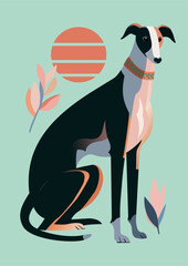 Elegant Greyhound Dog Flat Vector Illustration with Stylized Sun and Pastel Elements for Posters, Greeting Cards, and Digital Media