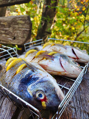 Freshly grilled fish with lemon slices in a wire rack, set in a rustic outdoor setting surrounded by greenery during the daytime