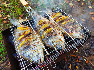 Freshly grilled fish with lemon slices in a wire rack, set in a rustic outdoor setting surrounded by greenery during the daytime