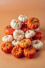 Mini Pumpkins Collection, Studio Photography of Autumn Decorations