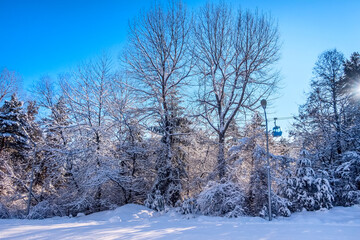 Bansko ski resort forest and ski lift, Bulgaria