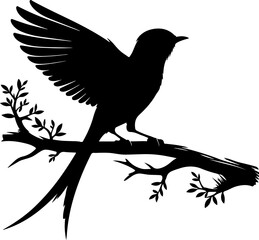 Fototapeta premium Black Drongo vector silhouette clip art. Vector of bird on white background. Birds Icon Greater Racket-tailed Drongo silhouette art.