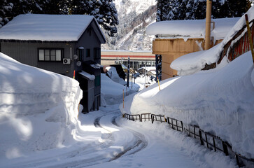 雪の道