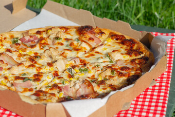 Delicious pizza in a box on a checkered tablecloth on the grass. Chicken Bacon Pizza Picnic.