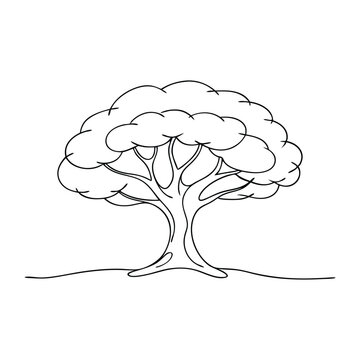 Walnut tree Hand drawn continuous line art flat vector illustration on white background