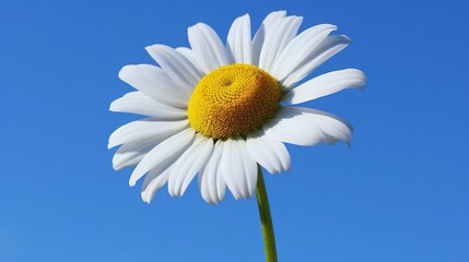 Calm spa atmosphere with lavender oil, white towel, and perfumed candle on wood