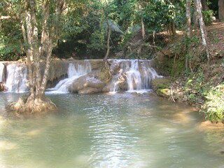 waterfall in the forest