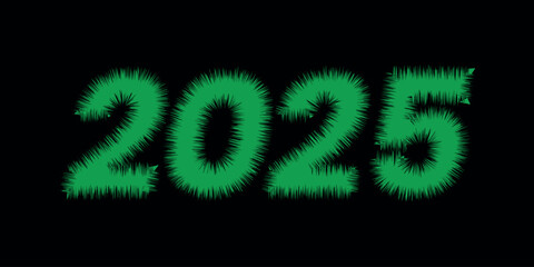 American Happy new year 2025 celebration with 2025 text effect in black background. 