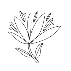 line illustration fir your design