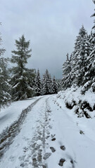 Jiezerskie Mountains in Poland. Low mountains covered with snow and forest. Landscape