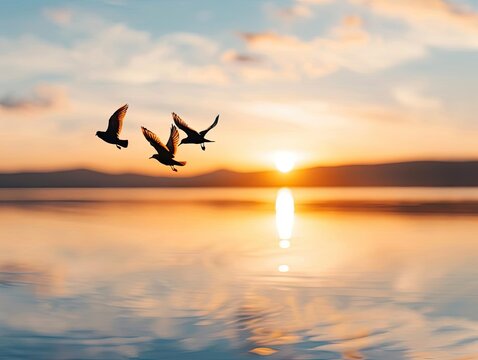 Sun setting as birds depart from a tranquil lake, glowing colors, wideangle lens, rippling water, serene reflection, peaceful evening, nature s transition,