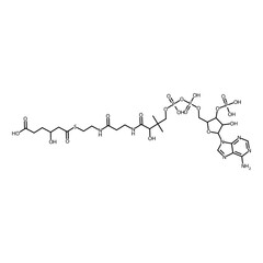 6-[2-[3-[[4-[[(5-adenin-9-yl-4-hydroxy-3-phosphonooxy-tetrahydrofuran-2-yl)methoxy-hydroxy-phosphoryl]oxy-hydroxy-phosphoryl]oxy-2-hydroxy-3,3-dimethyl-butanoyl]amino]propanoylamino]ethylthio]-4-hydro