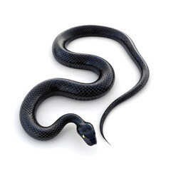 Black snake illustration realistic slithering reptile with shiny scales mysterious serpent design venomous predator dark fantasy symbol danger nature wildlife art creepy animal decoration
