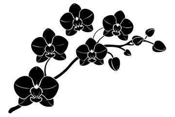 An orchid branch with flowers, unopened buds, and a stem vector art silhouette illuatration © T-shirt Land