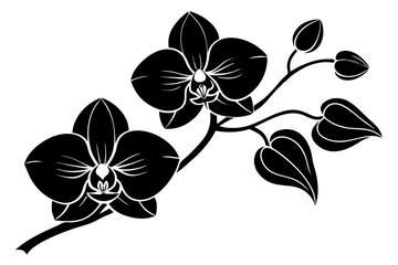 An orchid branch with flowers, unopened buds, and a stem vector art silhouette illuatration