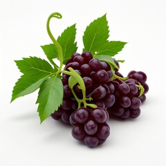 Fototapeta premium Bunch of grapes isolated on white background..