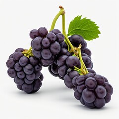Fototapeta premium Bunch of grapes isolated on white background..