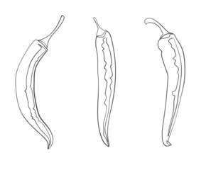Minimalistic black and white line drawing of three chili peppers in various shapes, perfect for design projects or educational materials.