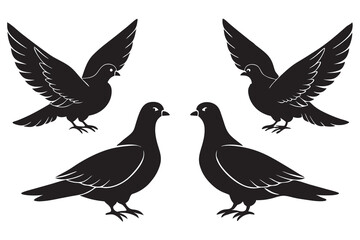 Dove deferent silhouette vector art