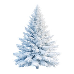 Snow-covered Christmas tree with a star topper, creating a peaceful and festive winter scene. Isolated on white background.


