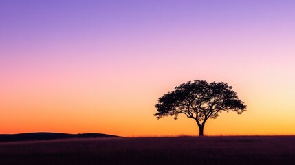 Obraz premium A silhouette of a tree at dawn, with soft purple and orange hues in the sky, representing tranquility and nature's early morning beauty