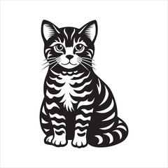 American shorthair cat sitting silhouette vector illustration template
