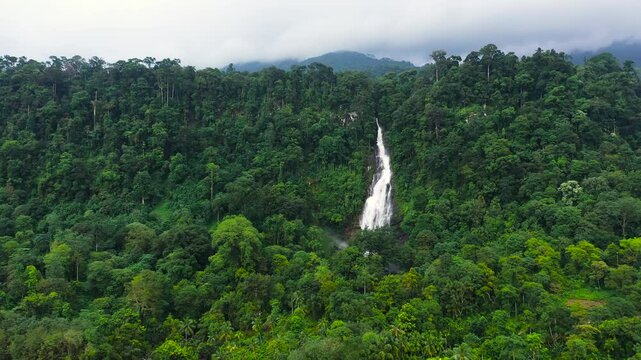 Beautiful waterfall in green forest. Mapalana Falls in mountain jungle, Sri Lanka. Waterfall in the tropical forest.
