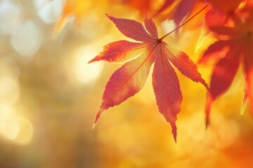 Autumn maple leaves with vibrant orange and red colors, Ai Generation
