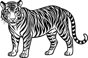 tiger illustration,tiger animal, tiger vector silhouette