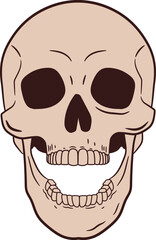 Illustration of a skull with an open jaw.