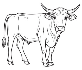 Hand drawn animal outline illustration black and white cow