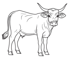 Hand drawn animal outline illustration black and white cow