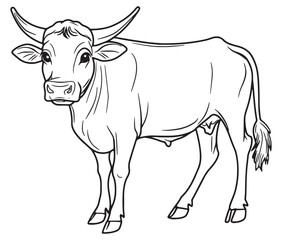 Hand drawn animal outline illustration black and white cow