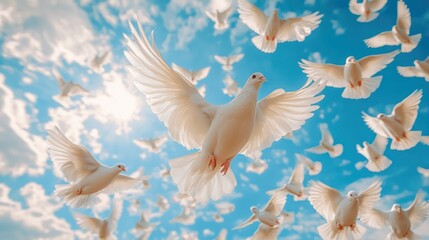 Fototapeta premium white doves flying overhead in blue sky background