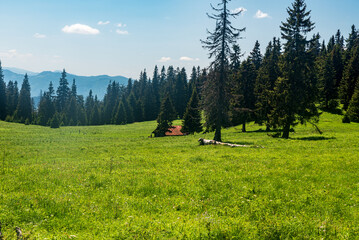 Stredna polana bellow Velky Choc hill in Chocske vrchy mountains in Slovakia © honza28683