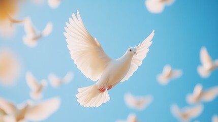 Obraz premium white doves flying overhead in blue sky background